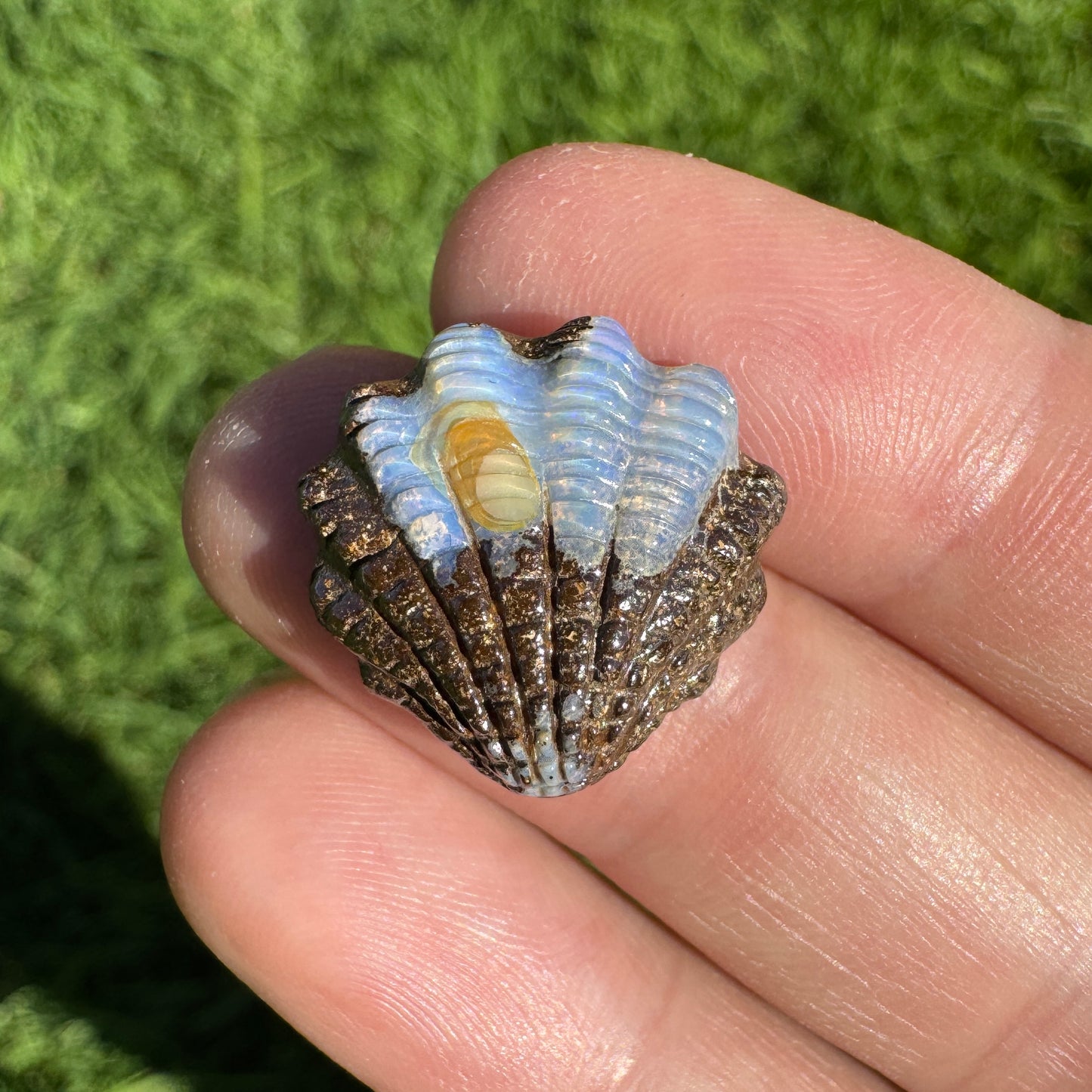 12.86 Ct fan shell boulder opal carving