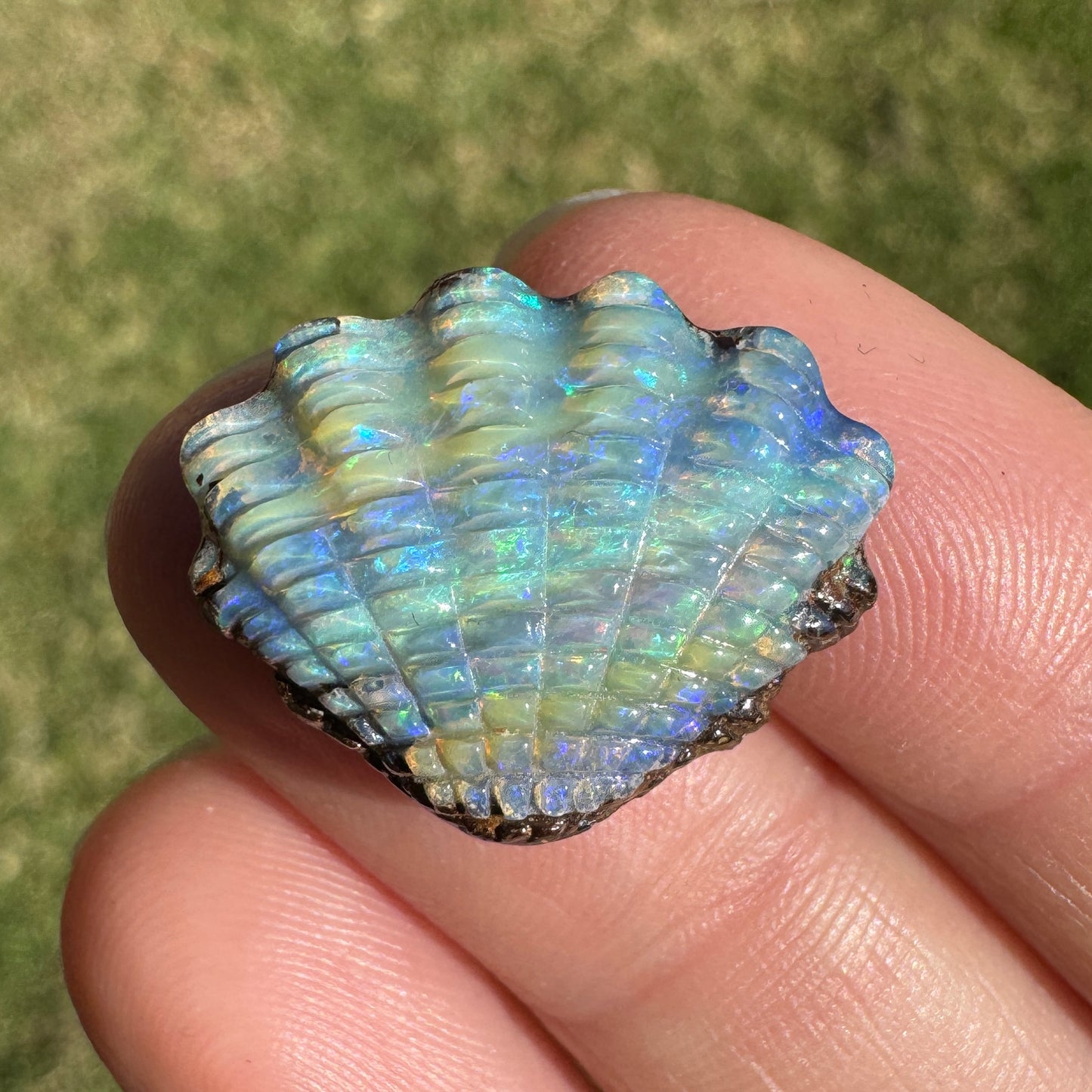 11.67 Ct shell boulder opal carving