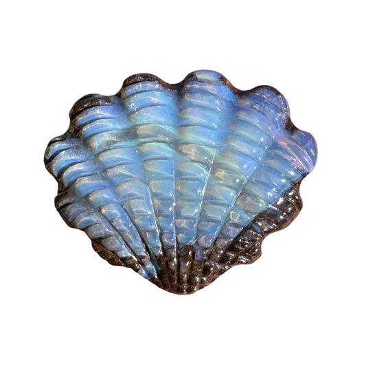 16.02 Ct fan shell opal carving