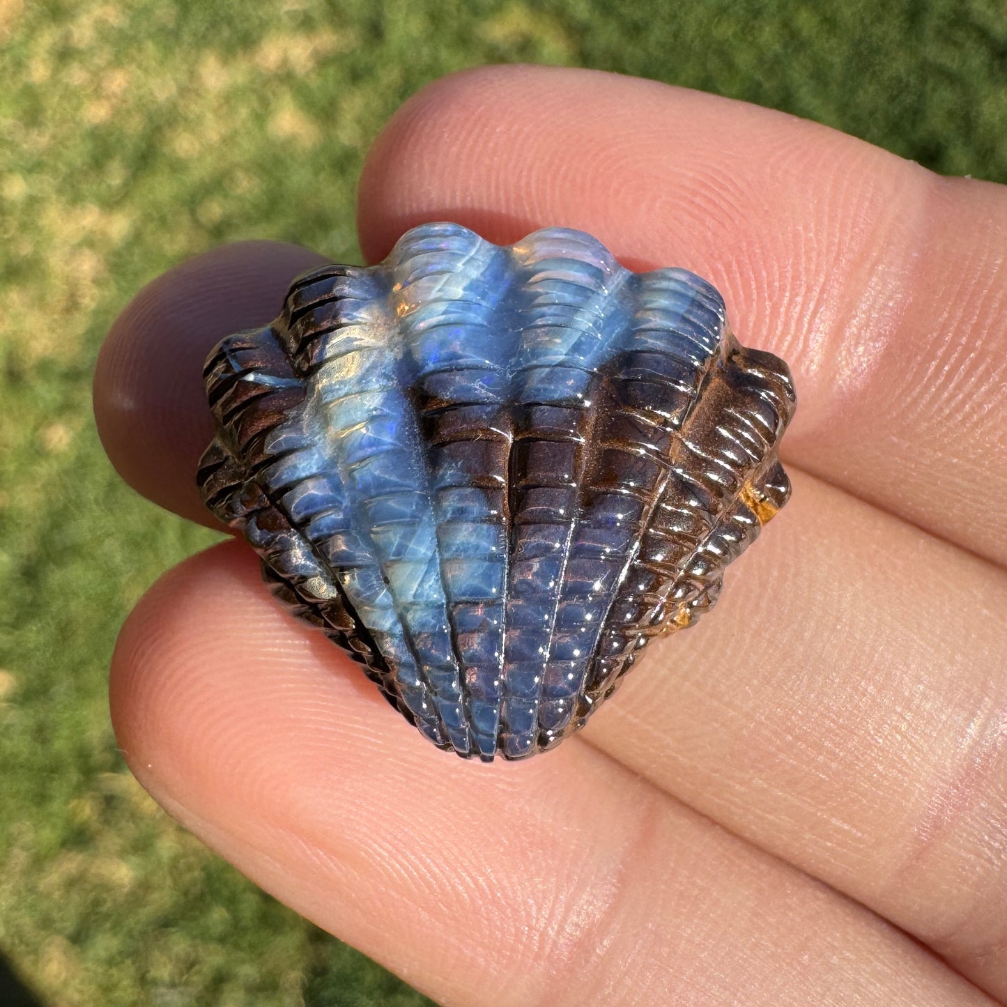 24.02 Ct fan shell boulder opal carving