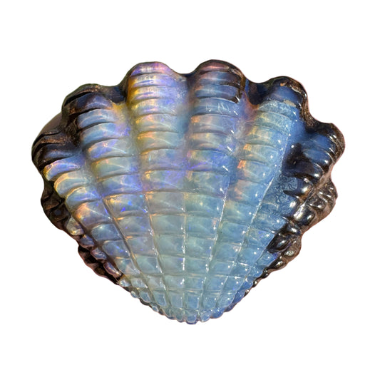23.41 Ct fan shell boulder opal carving