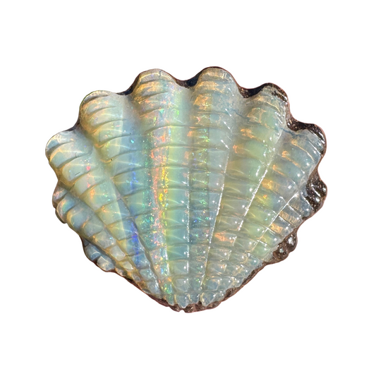 15.18 Ct fan shell boulder opal carving