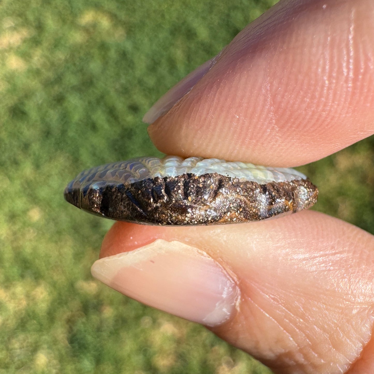 15.18 Ct fan shell boulder opal carving