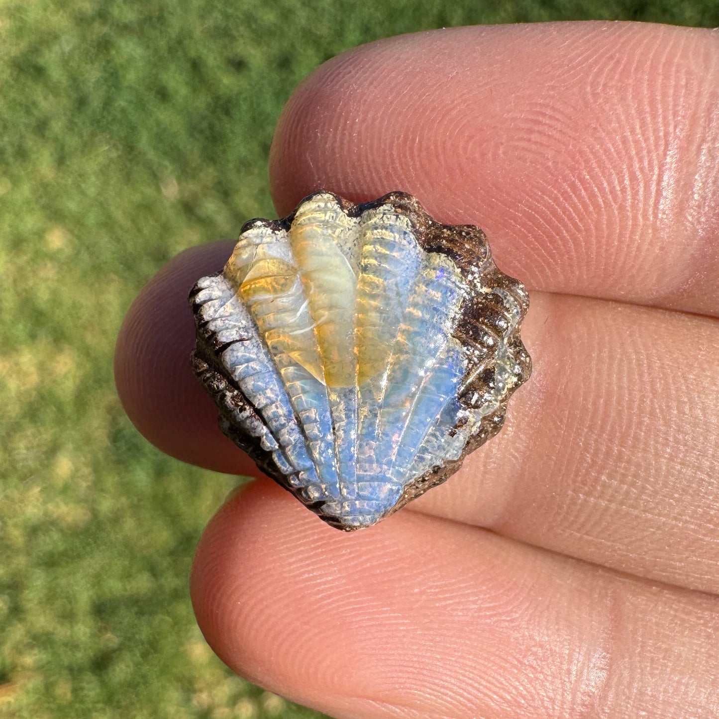 9.12 Ct fan shell boulder opal carving