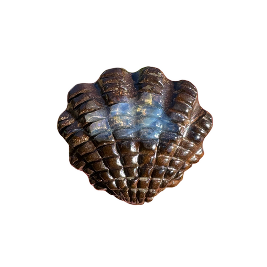 14.01 Ct fan shell boulder opal