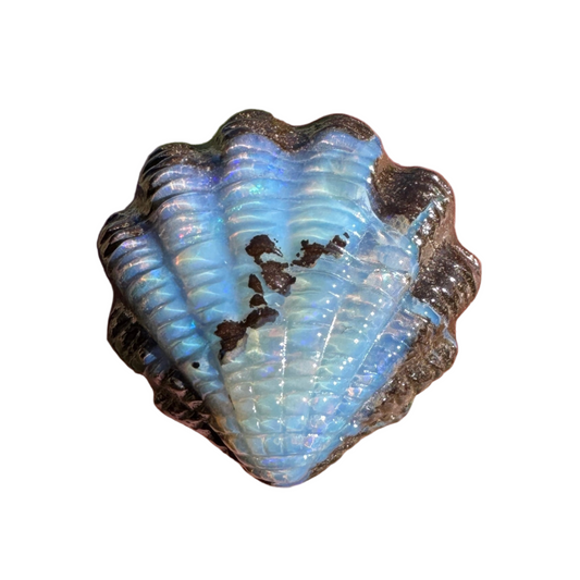 13.60 Ct fan shell boulder opal carving