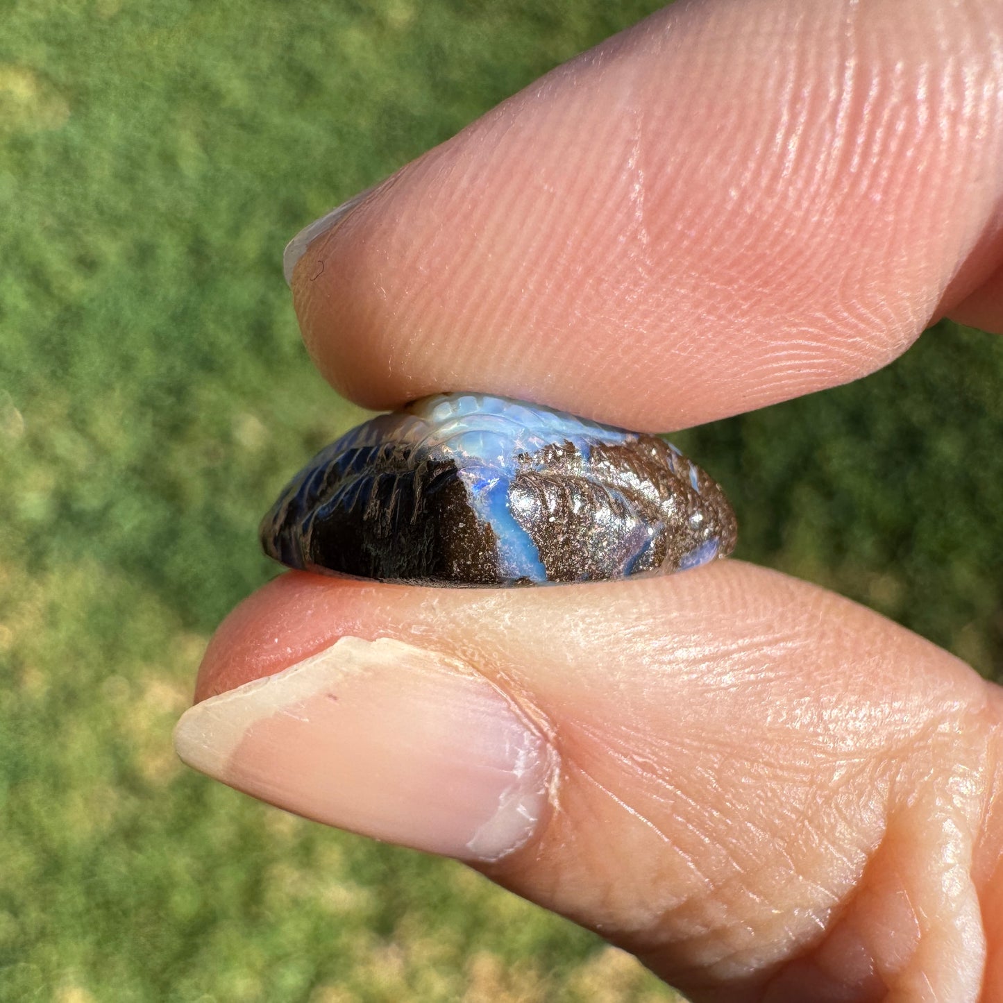 13.60 Ct fan shell boulder opal carving