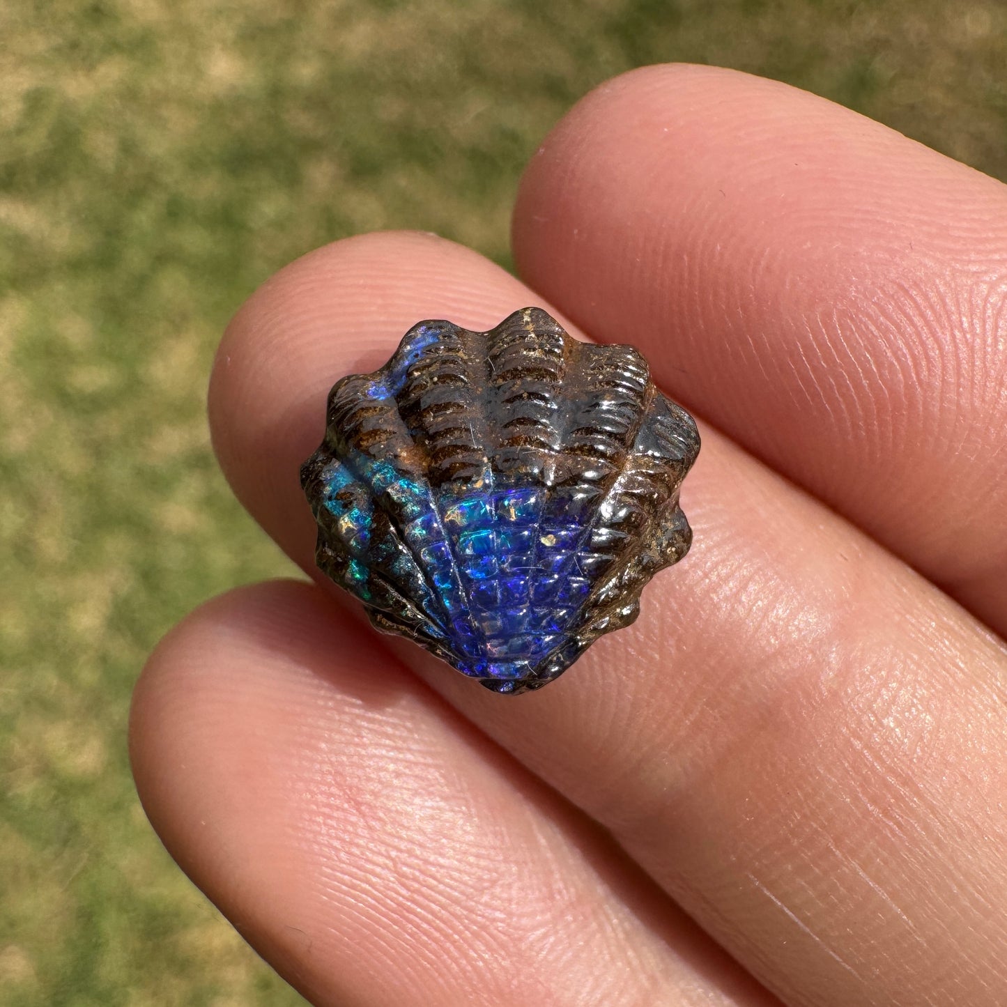 4.62 Ct fan shell boulder opal carving