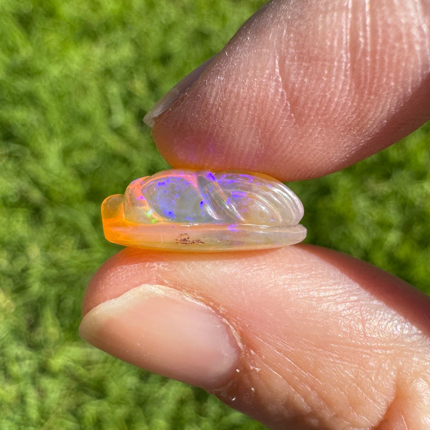 6.55 Ct carved scarab opal