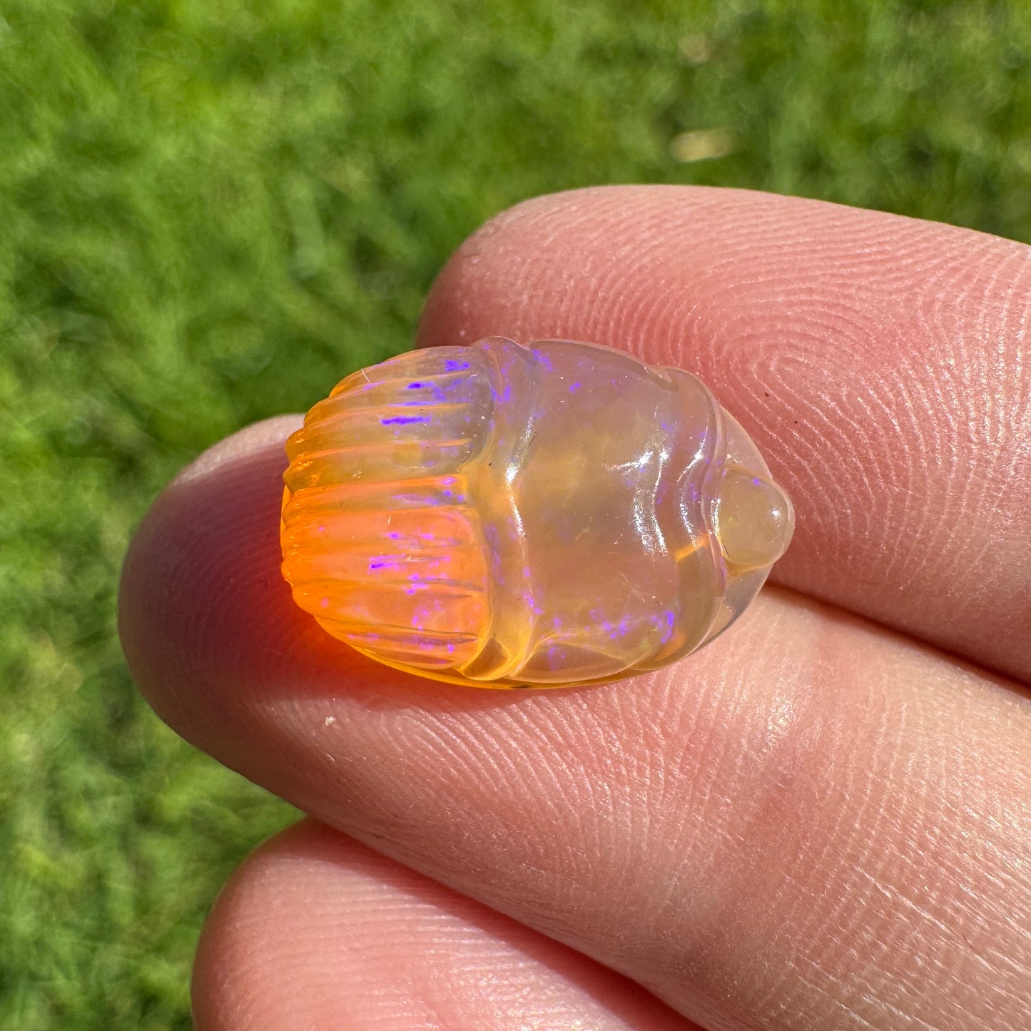 6.55 Ct carved scarab opal