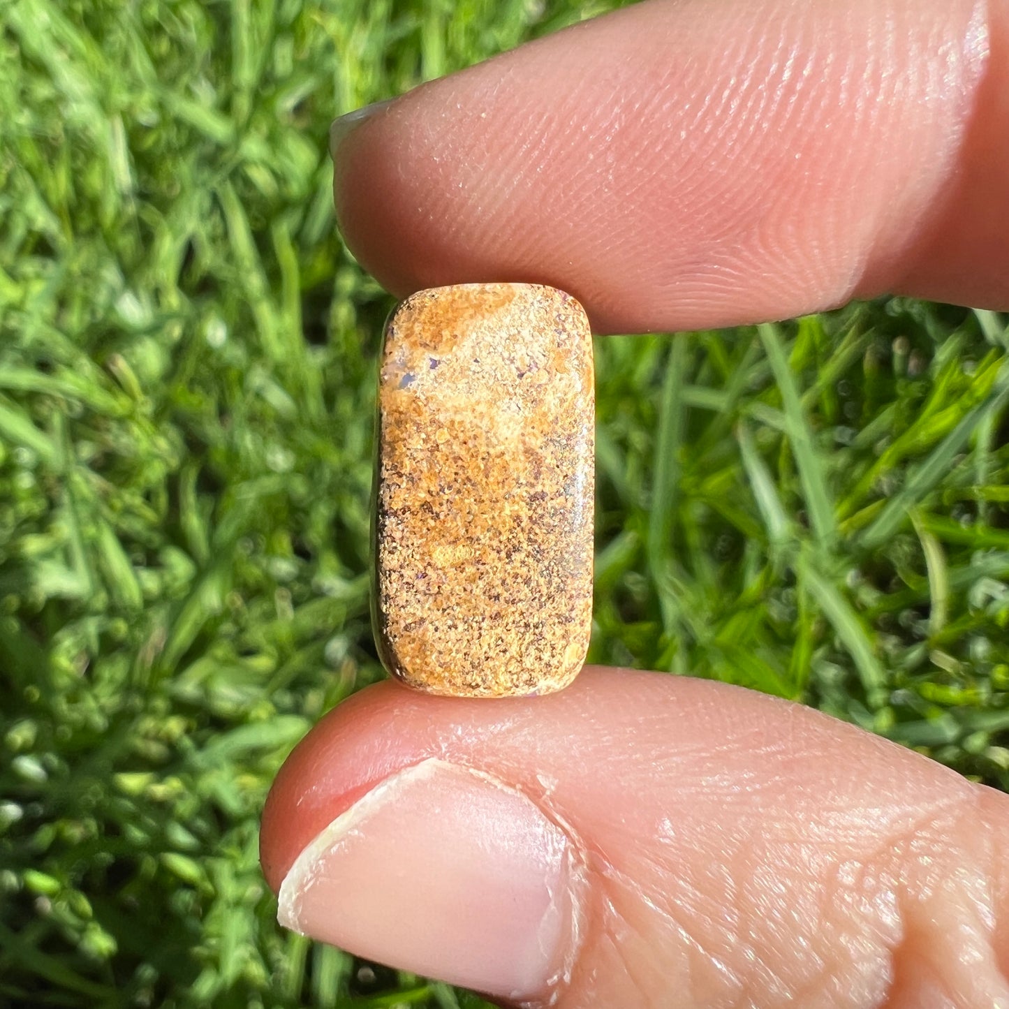 5.88 Ct 3D Wood replacement opal