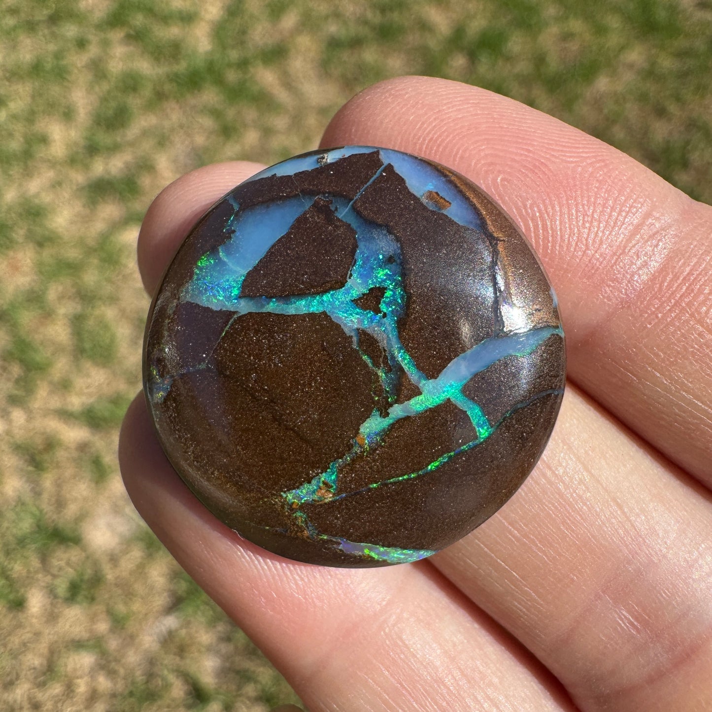 29.91 Ct large matrix boulder opal - Broken River Mining