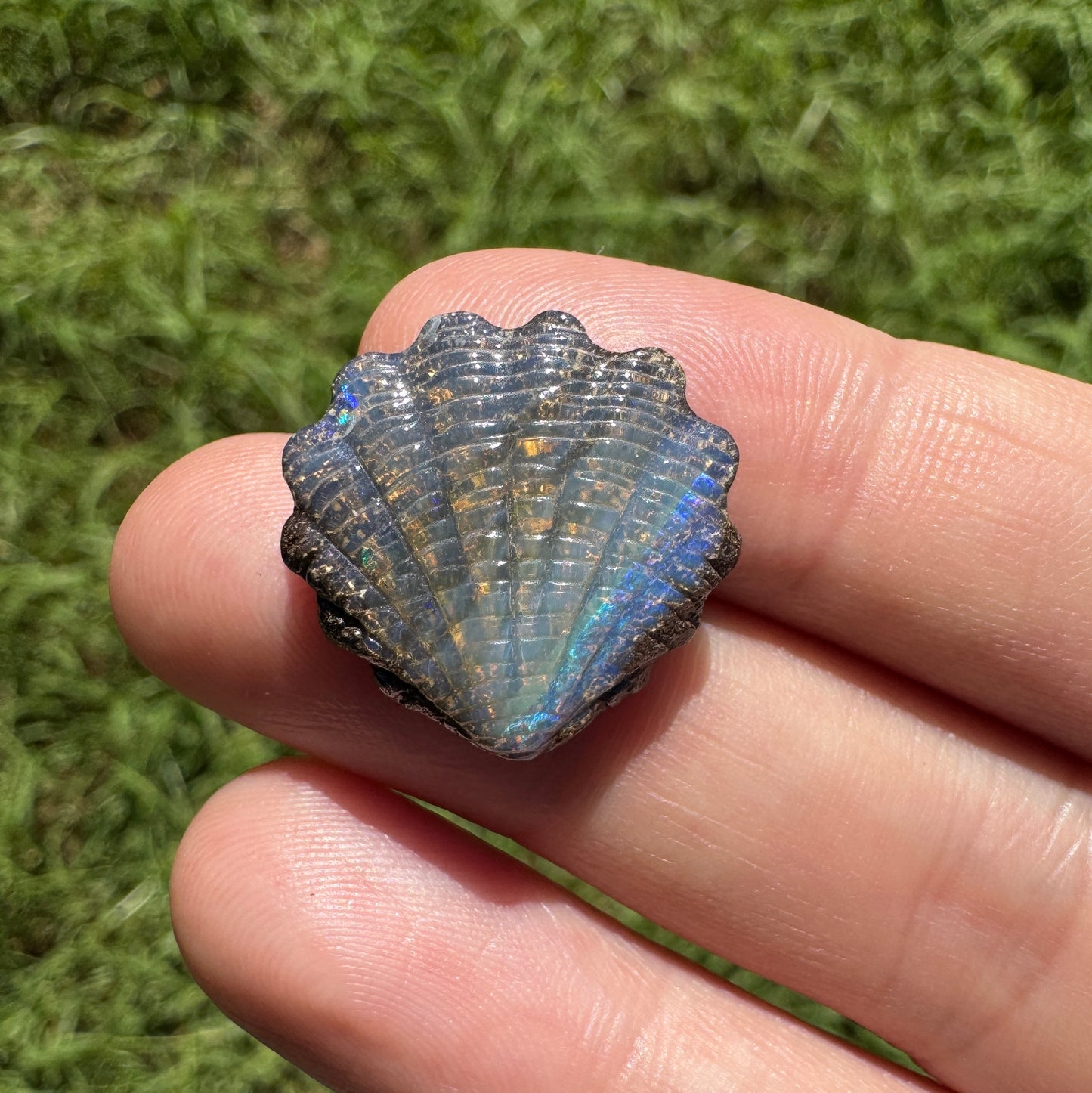 19.07 Ct two piece boulder opal shell set