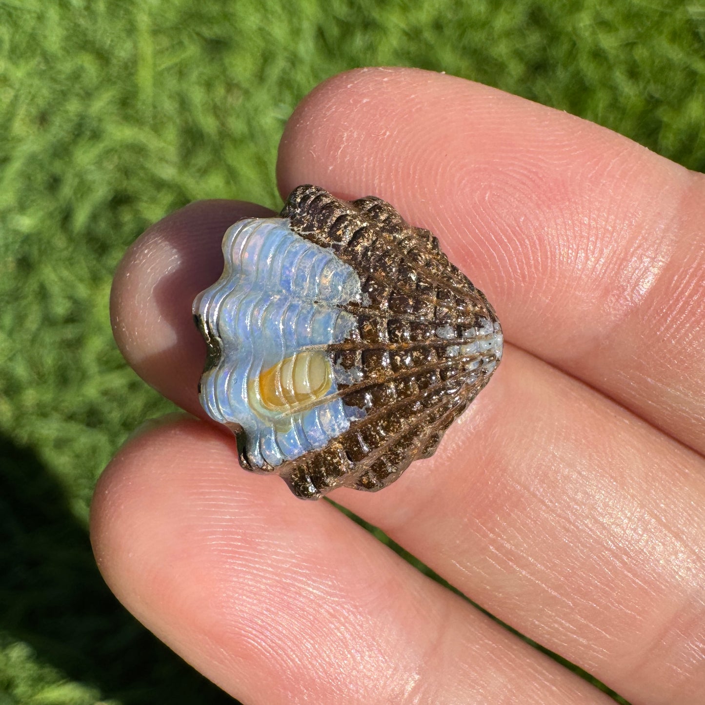 12.86 Ct fan shell boulder opal carving