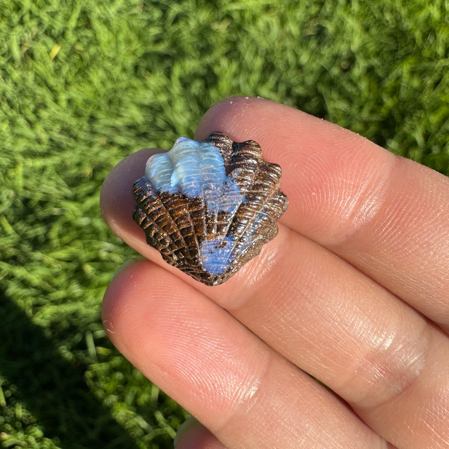 13.70 Ct fan shell boulder opal carving