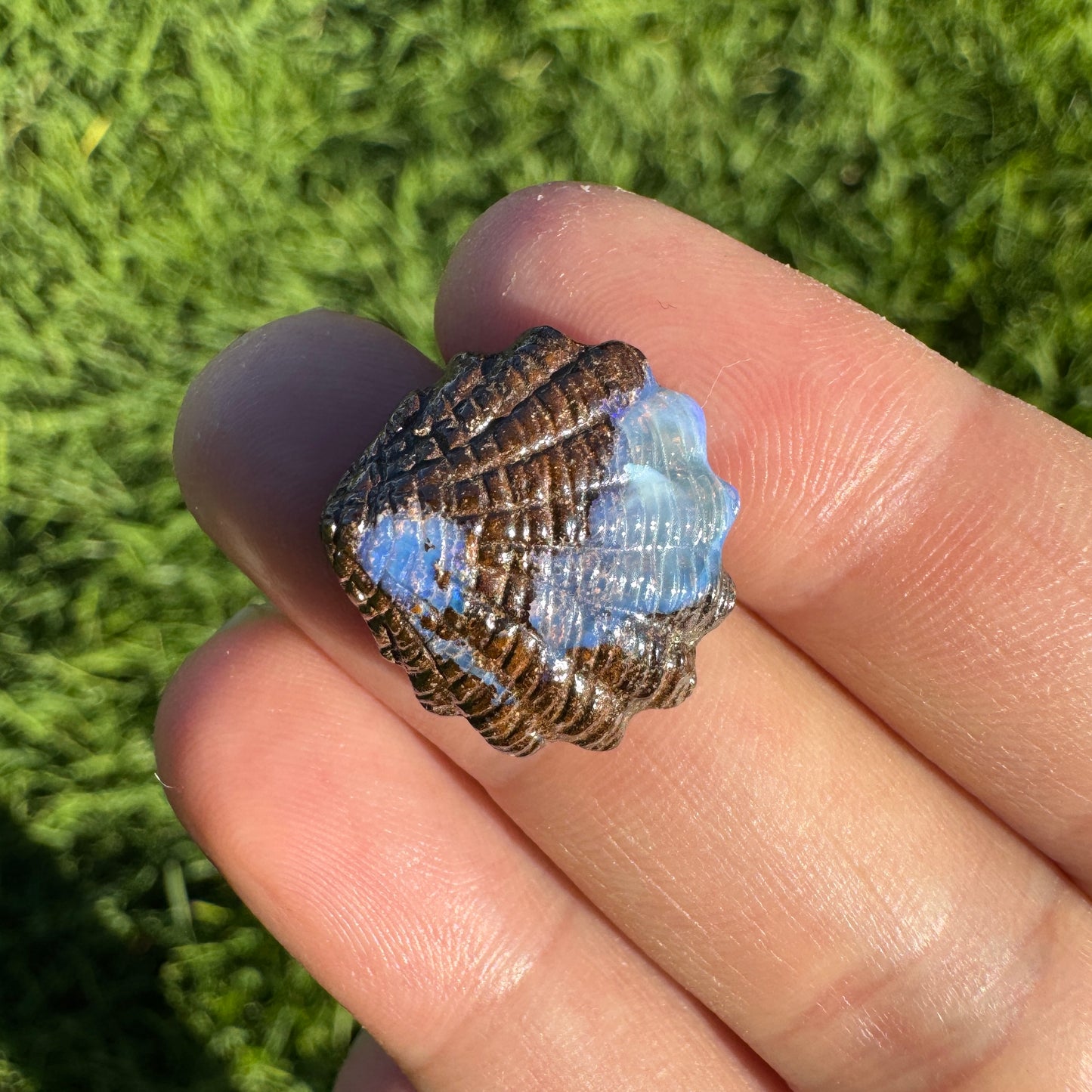 13.70 Ct fan shell boulder opal carving