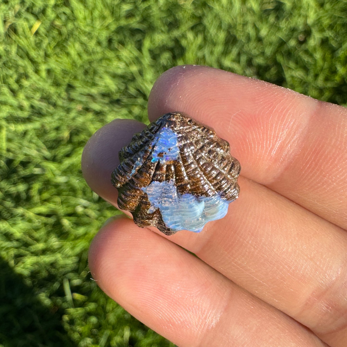 13.70 Ct fan shell boulder opal carving