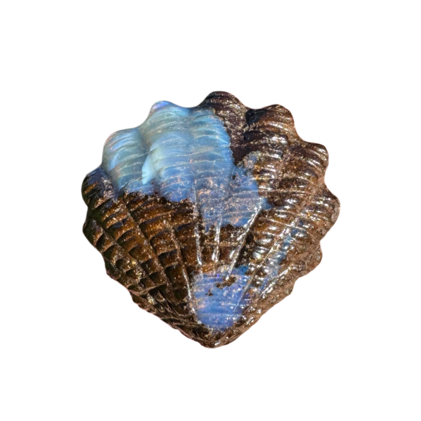 13.70 Ct fan shell boulder opal carving