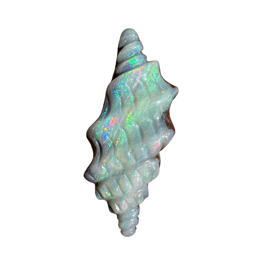 7.35 Ct spiral shell boulder opal carving