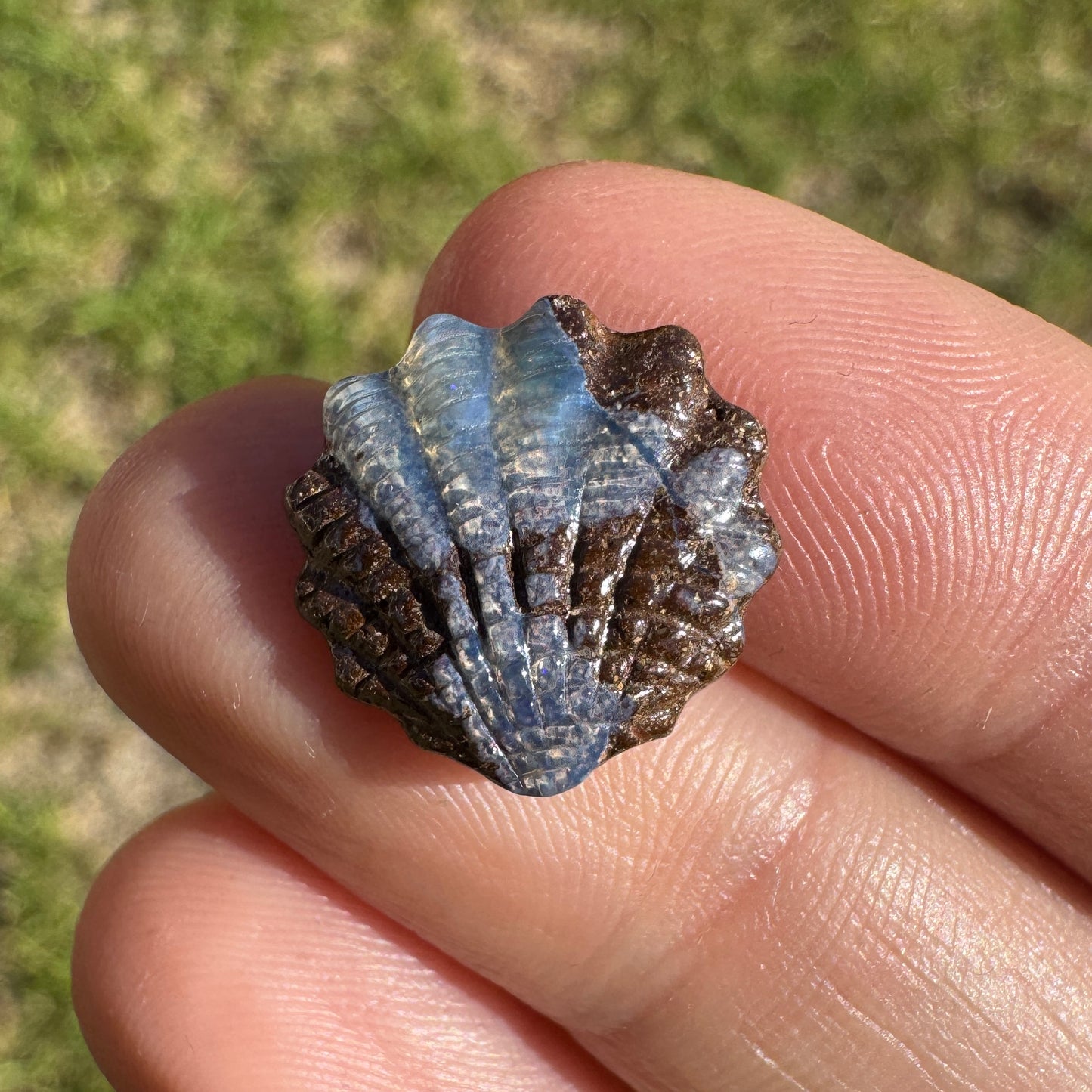 6.33 Ct shell boulder opal carving