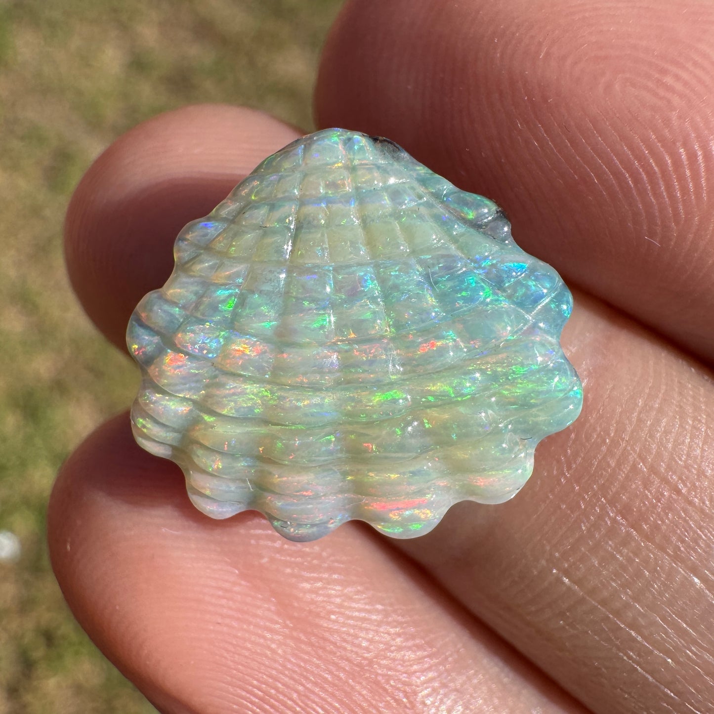 8.25 Ct pastel rainbow shell boulder opal carving
