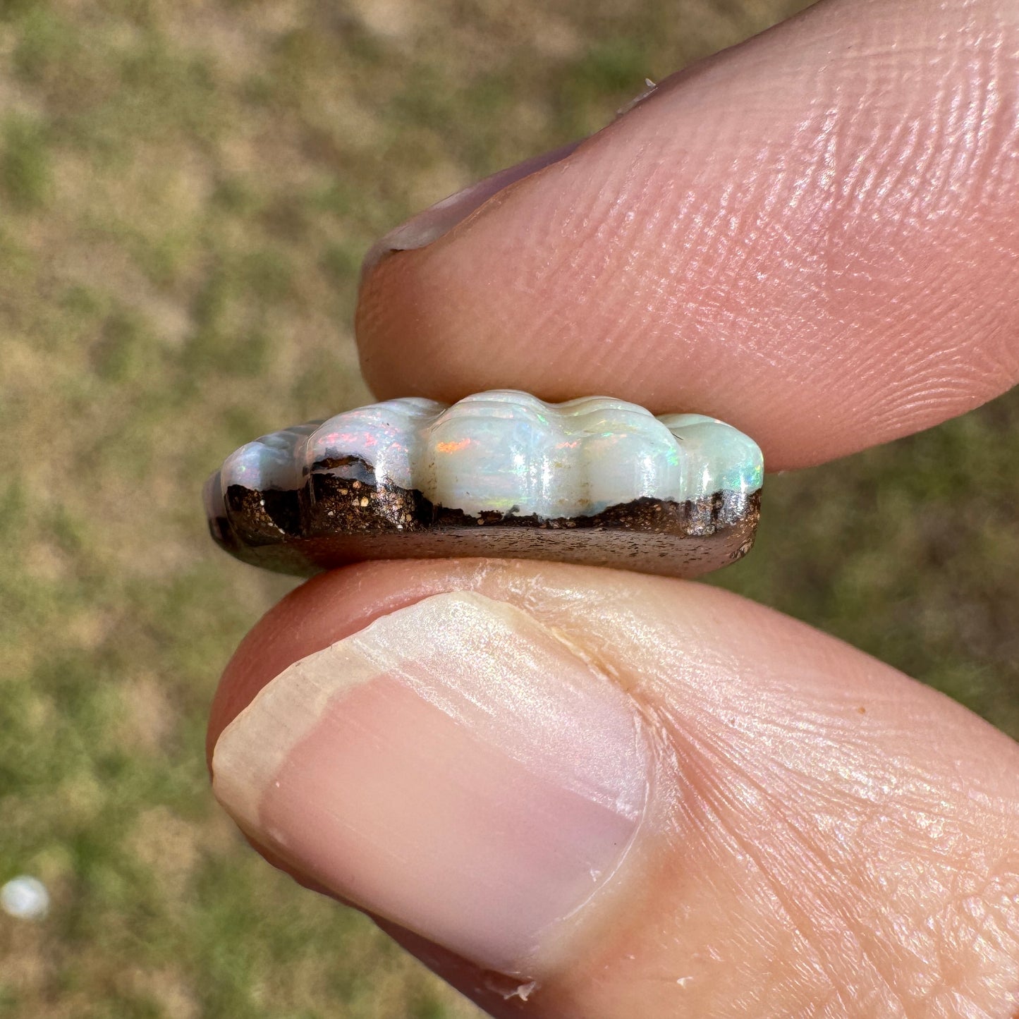 8.25 Ct pastel rainbow shell boulder opal carving