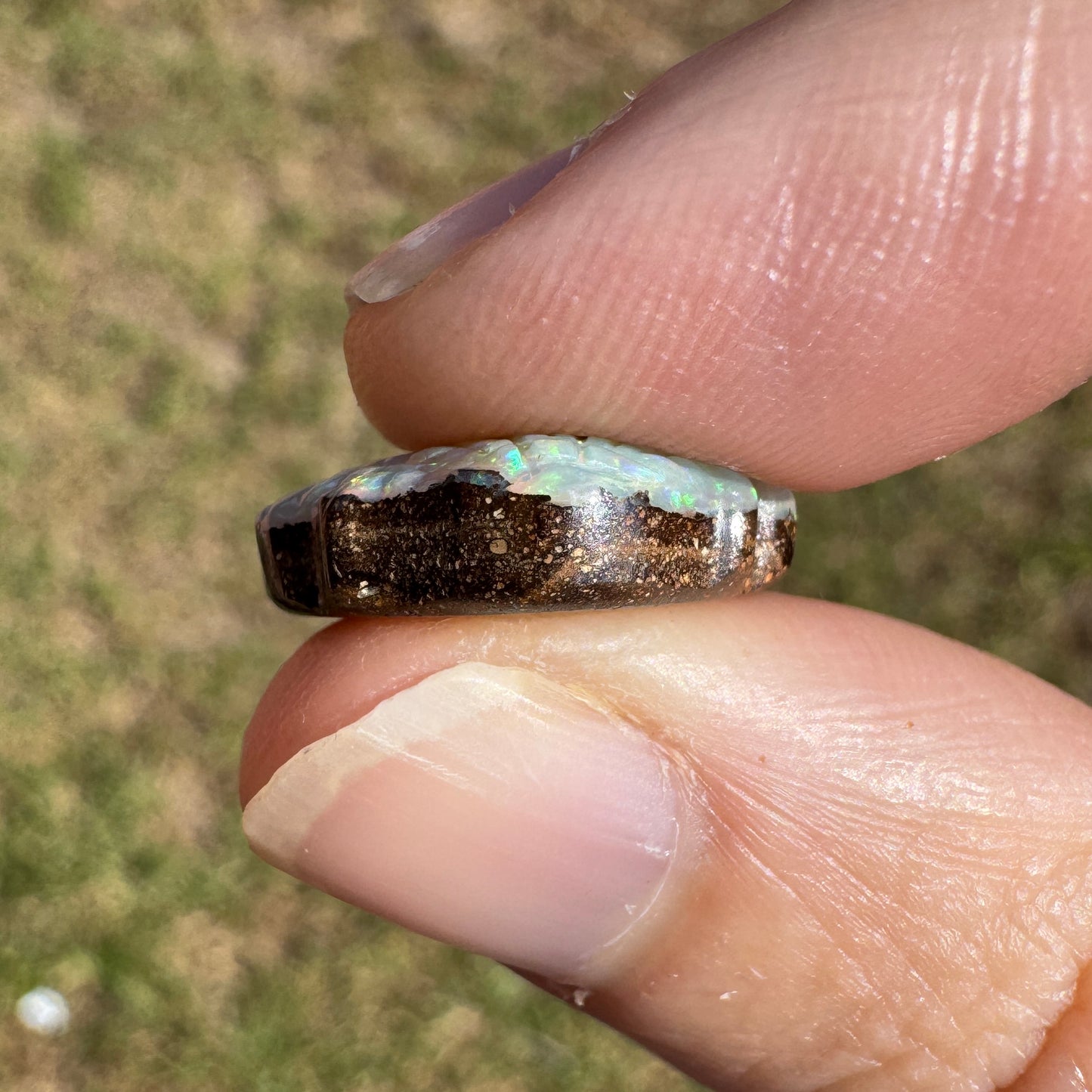 8.25 Ct pastel rainbow shell boulder opal carving
