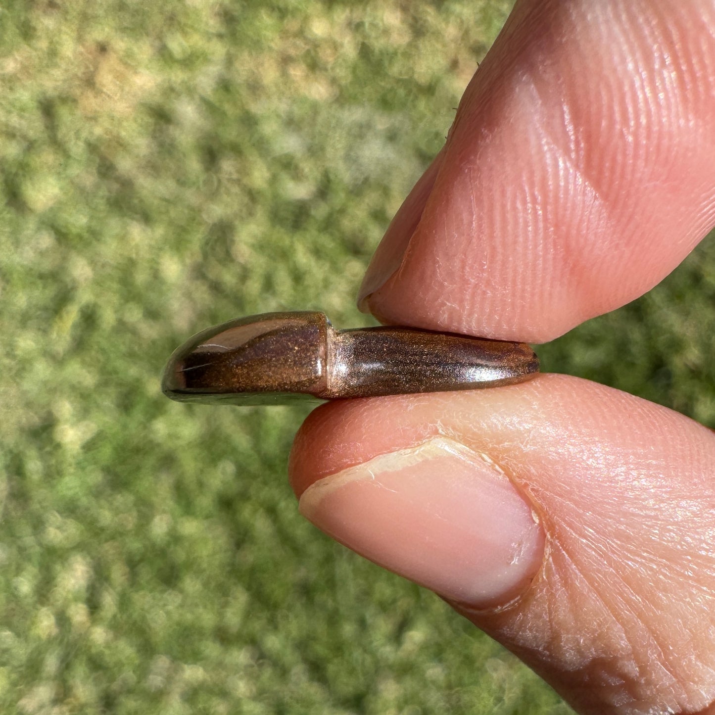 7.79 Ct boulder opal mushroom carving