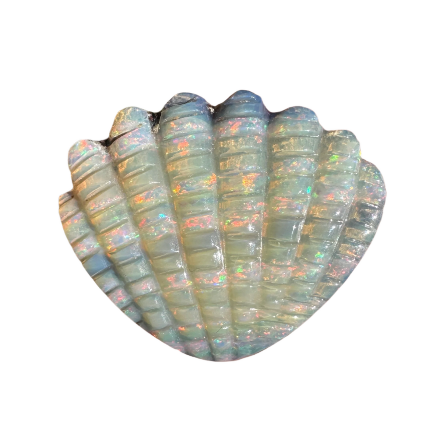 10.54 Ct shell boulder opal carving