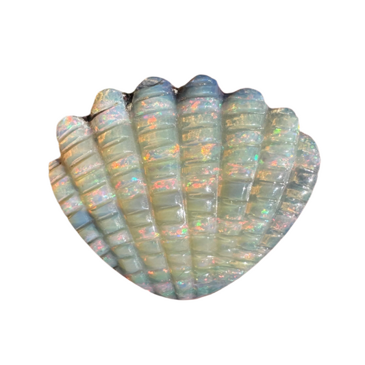 10.54 Ct shell boulder opal carving