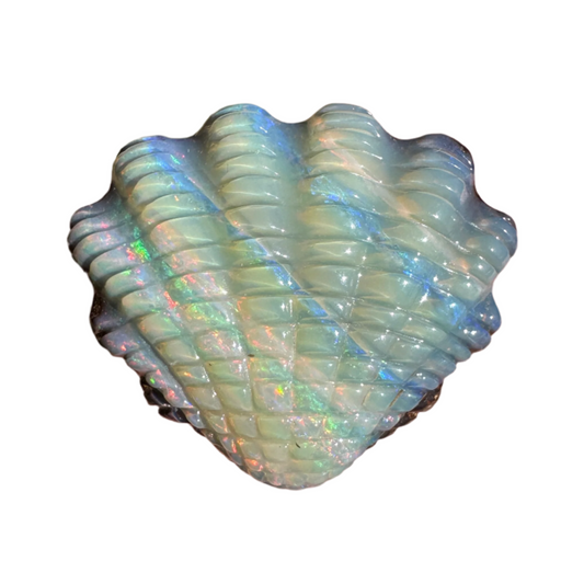 15.40 Ct shell boulder opal carving