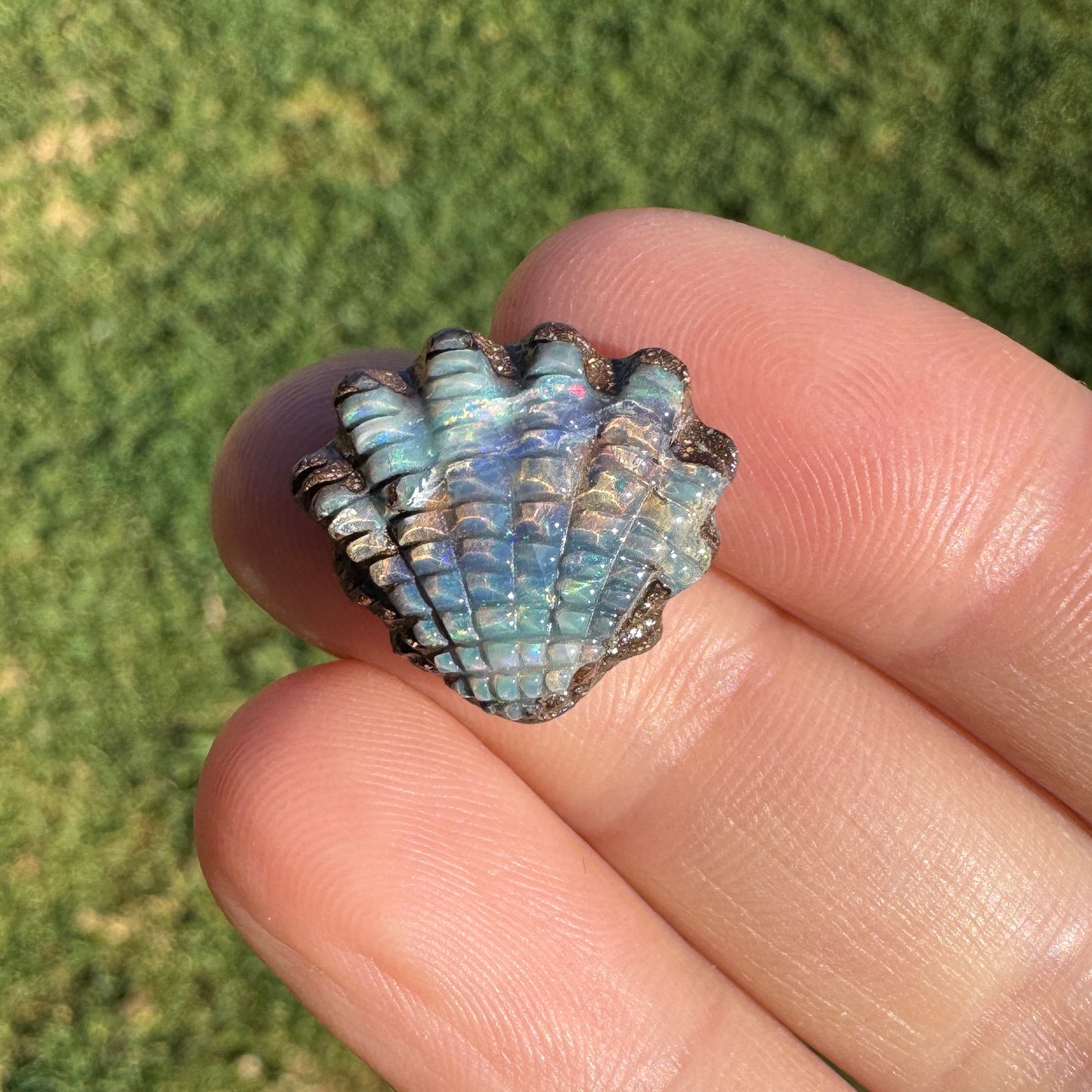 8.25 Ct small fan shell boulder opal carving