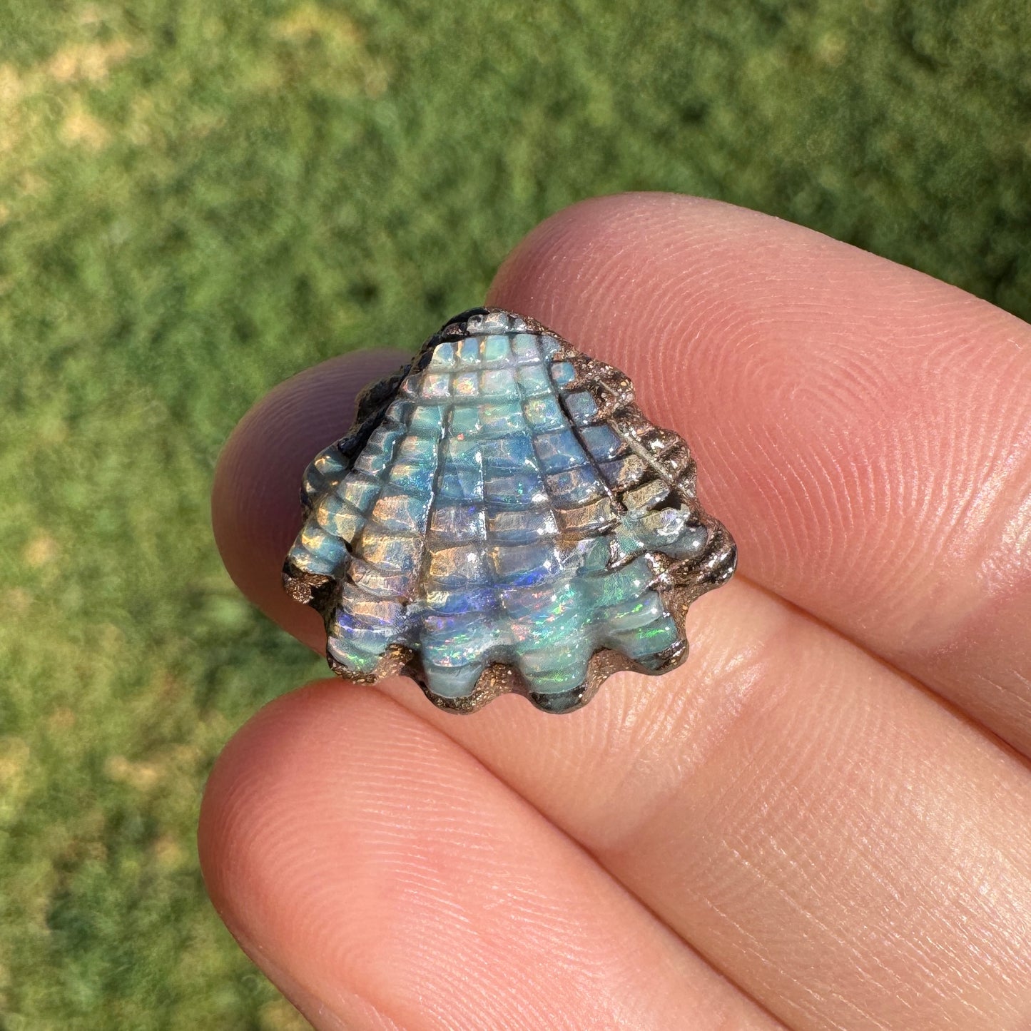 8.25 Ct small fan shell boulder opal carving
