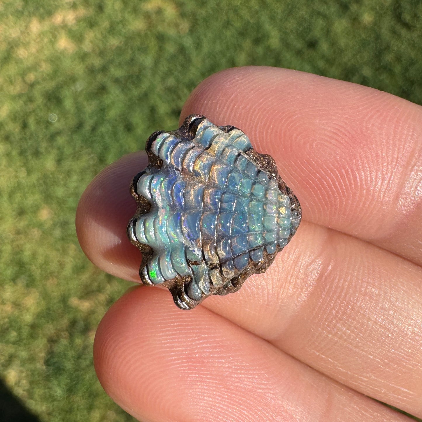 8.25 Ct small fan shell boulder opal carving
