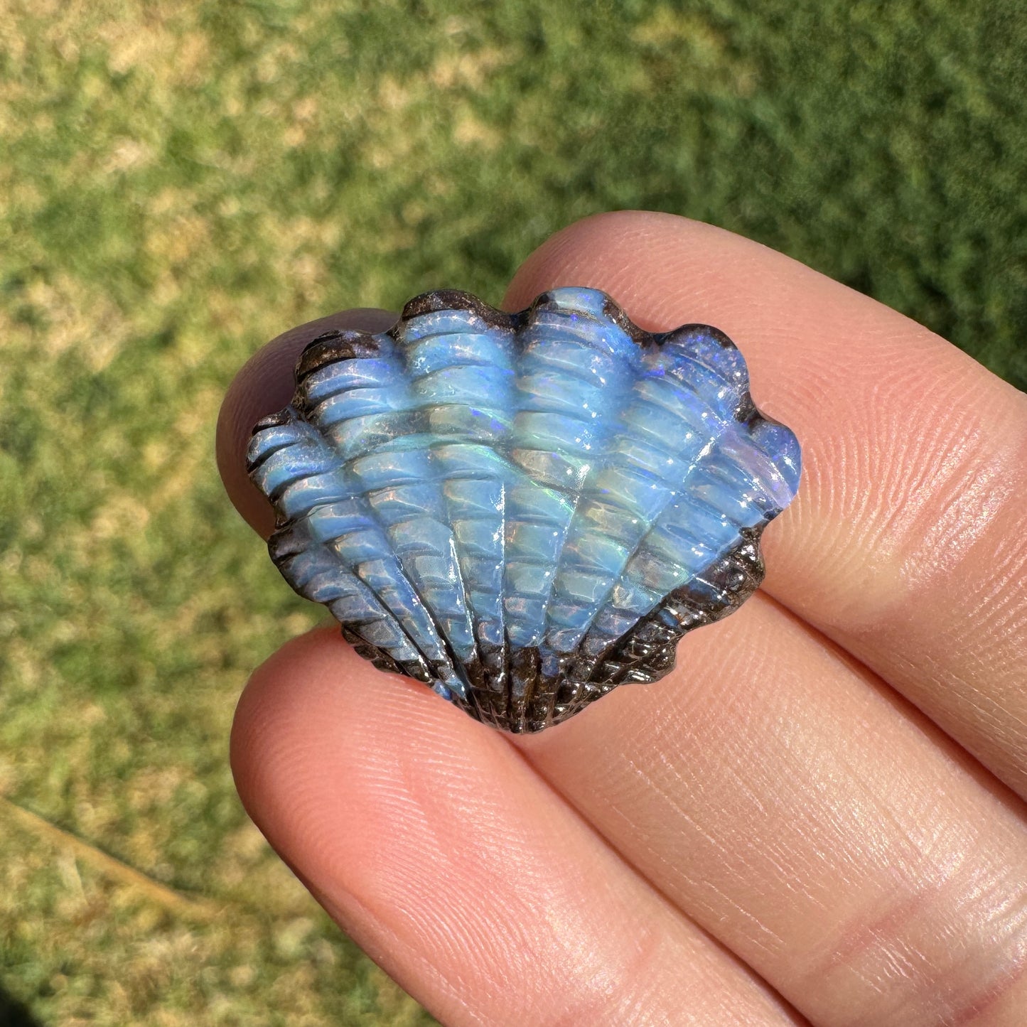 16.02 Ct fan shell opal carving