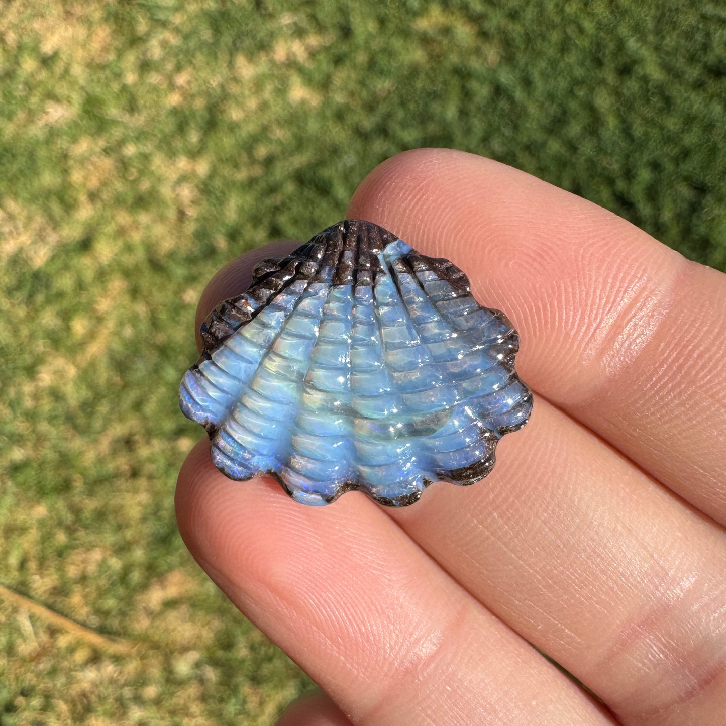 16.02 Ct fan shell opal carving