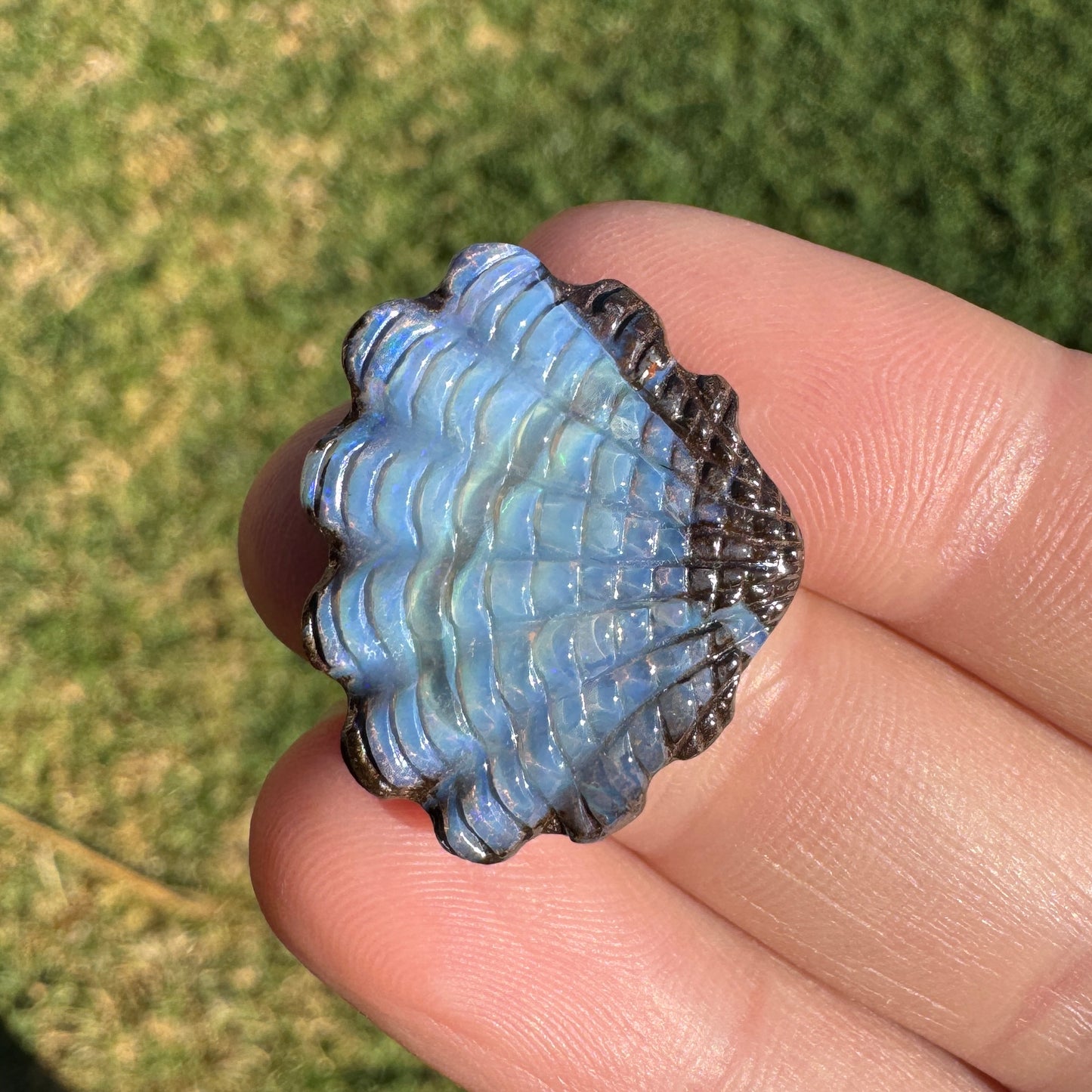 16.02 Ct fan shell opal carving