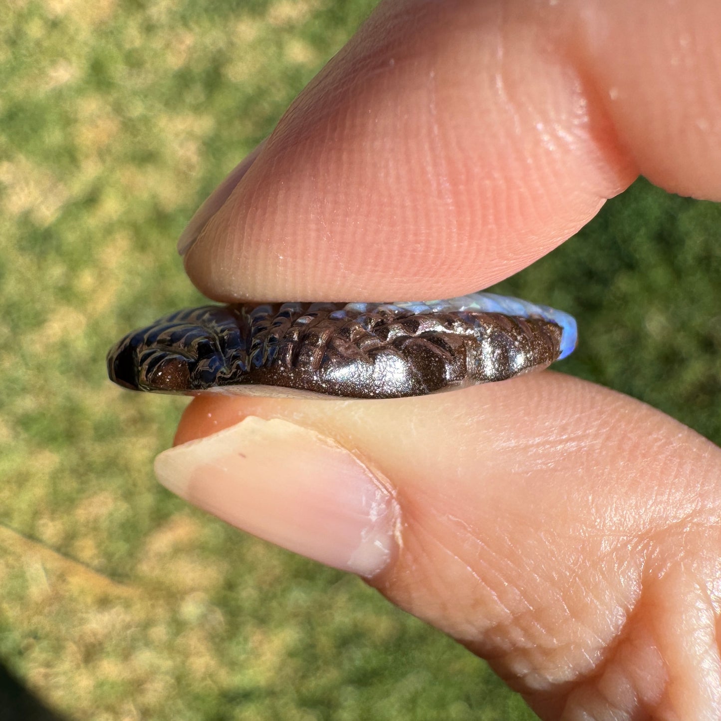 16.02 Ct fan shell opal carving