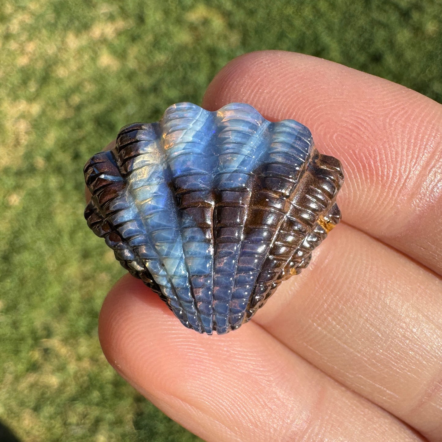24.02 Ct fan shell boulder opal carving
