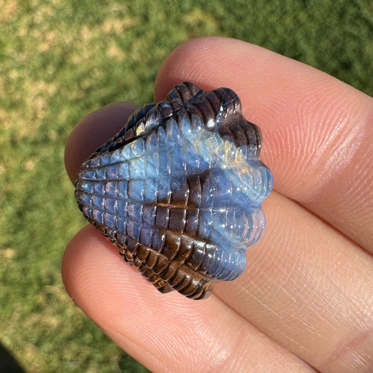 24.02 Ct fan shell boulder opal carving