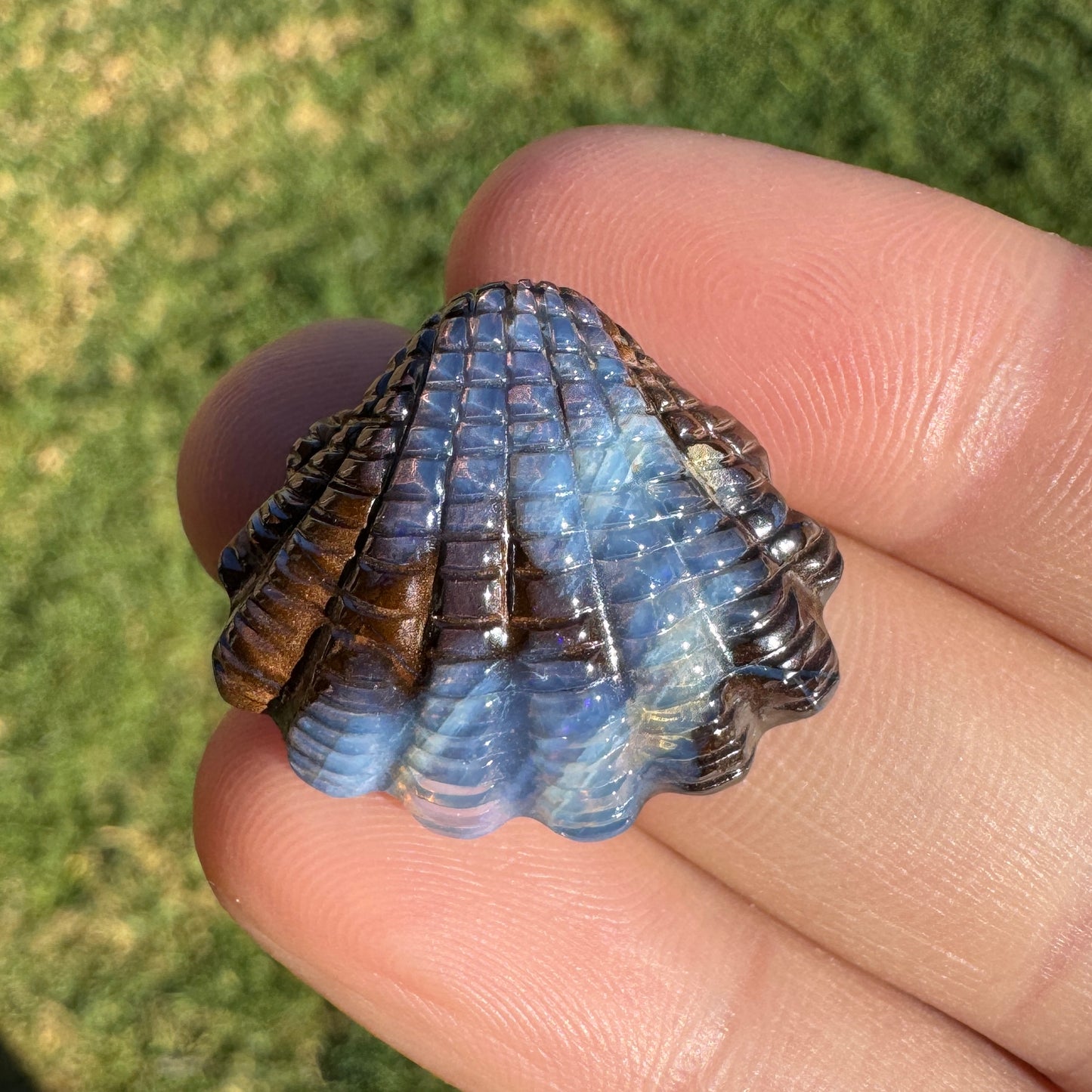 24.02 Ct fan shell boulder opal carving