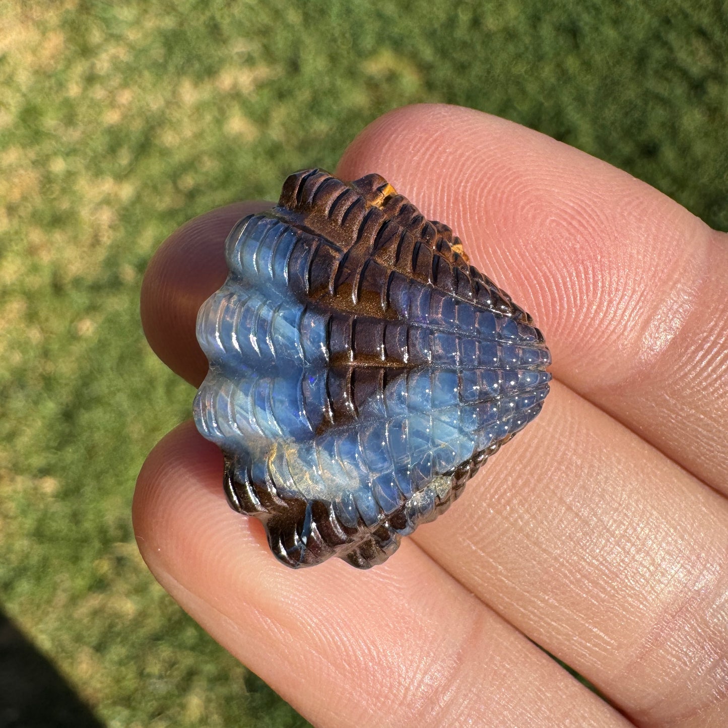 24.02 Ct fan shell boulder opal carving