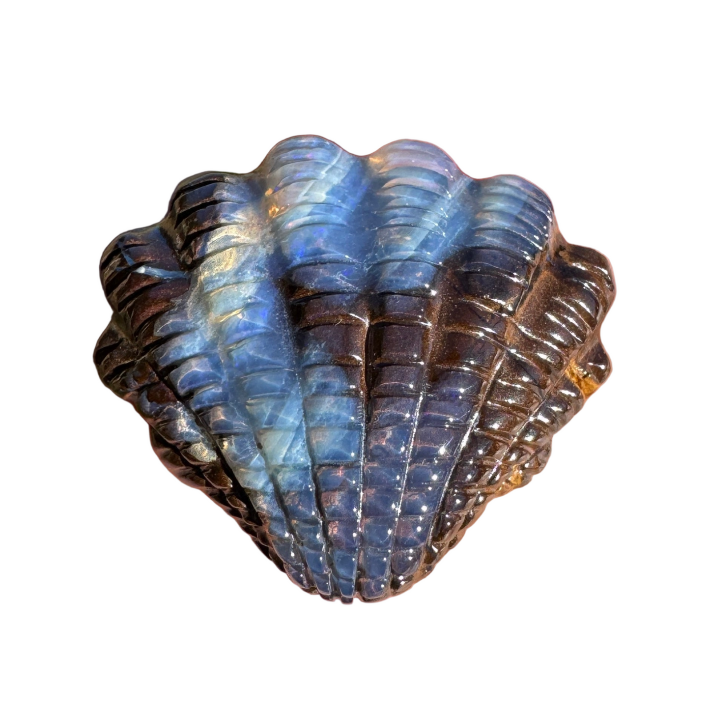 24.02 Ct fan shell boulder opal carving