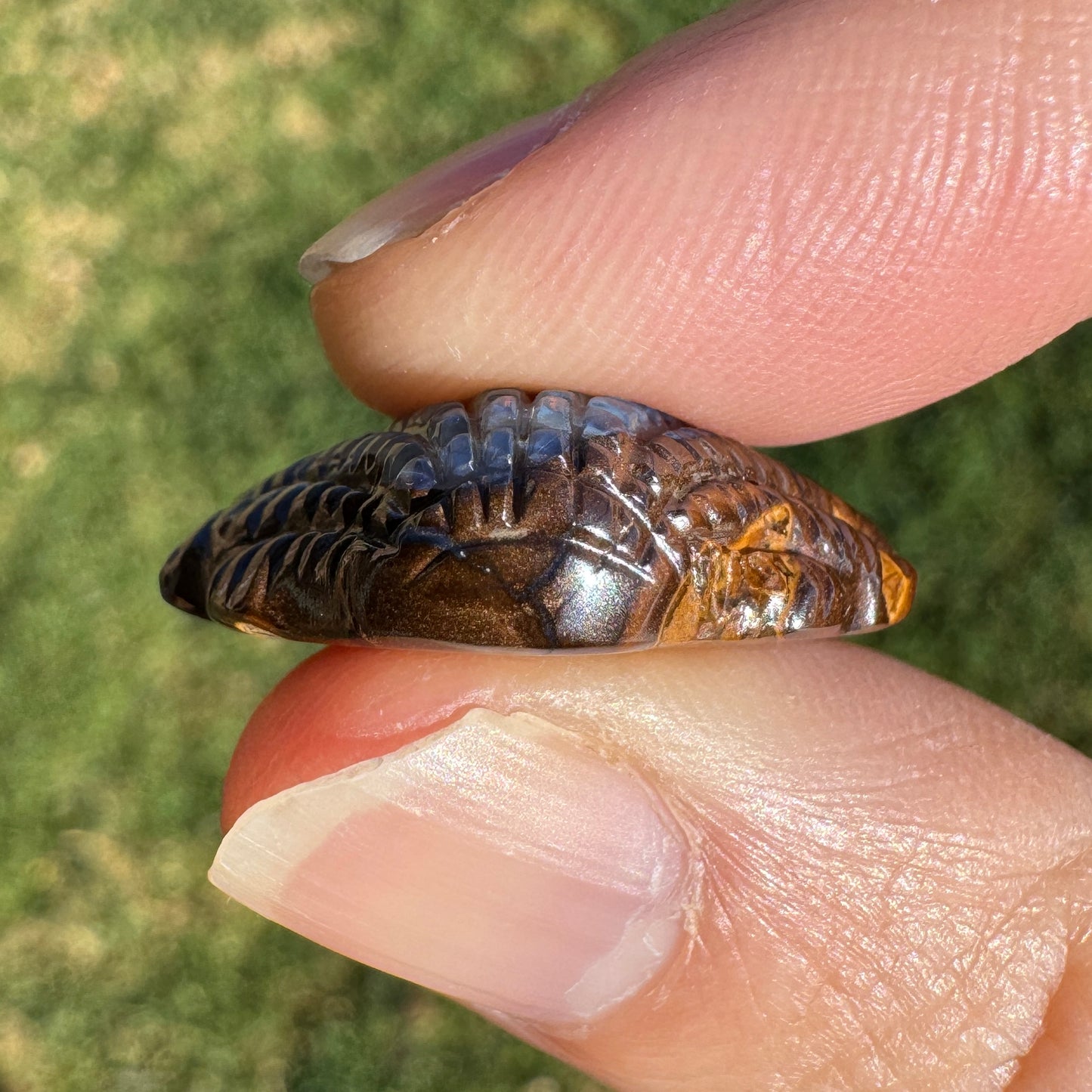 24.02 Ct fan shell boulder opal carving