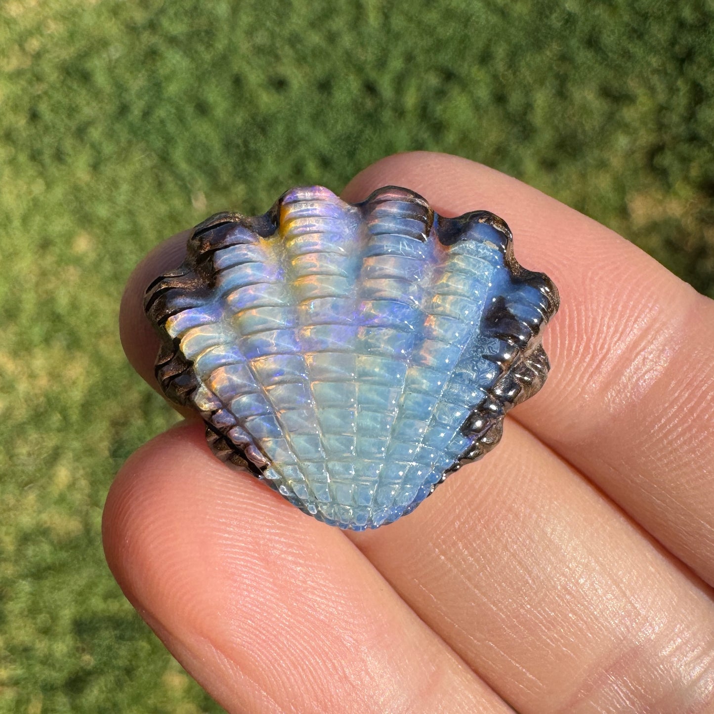 23.41 Ct fan shell boulder opal carving