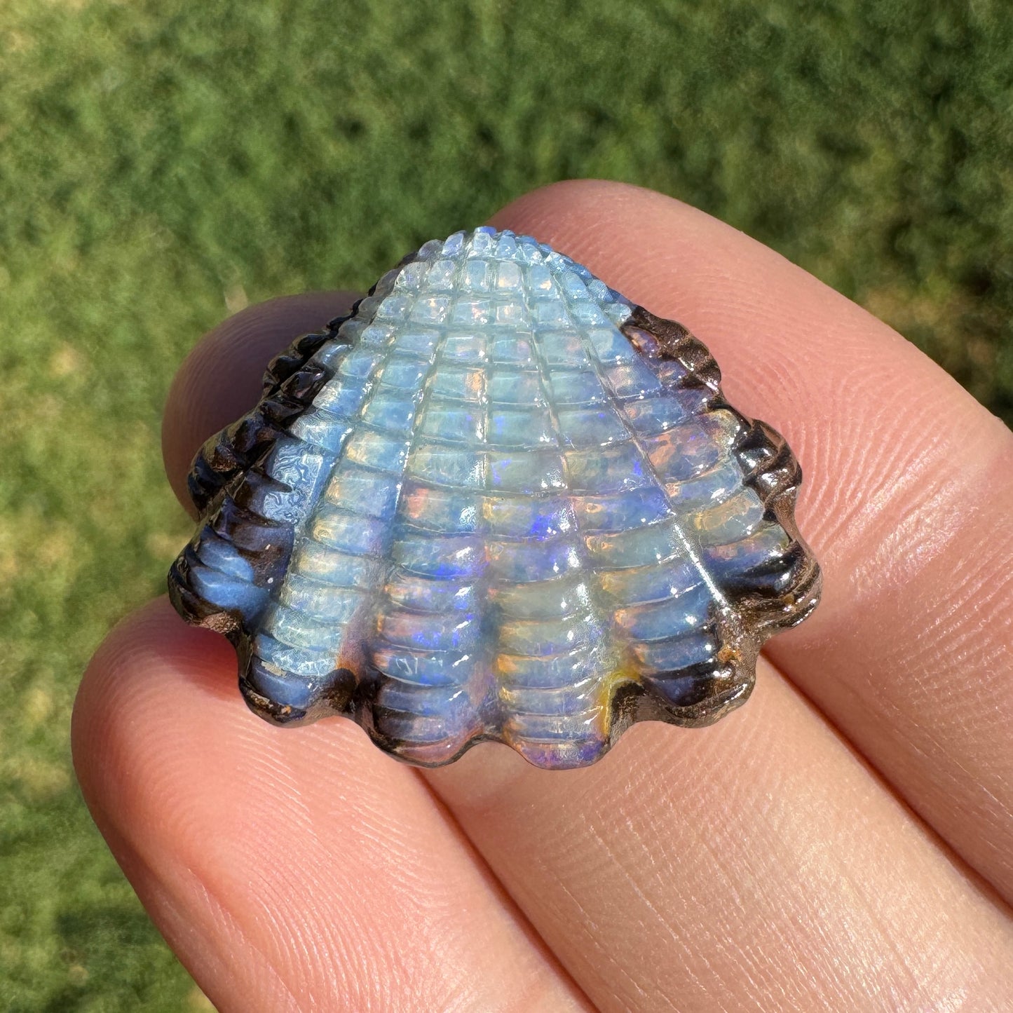 23.41 Ct fan shell boulder opal carving
