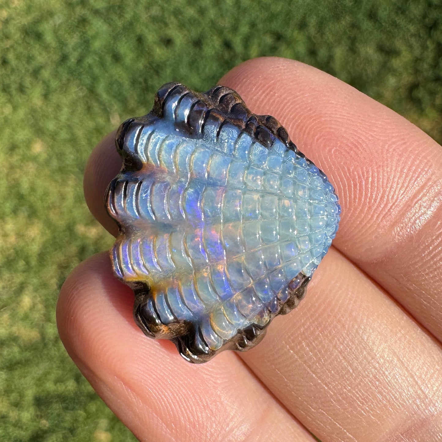 23.41 Ct fan shell boulder opal carving
