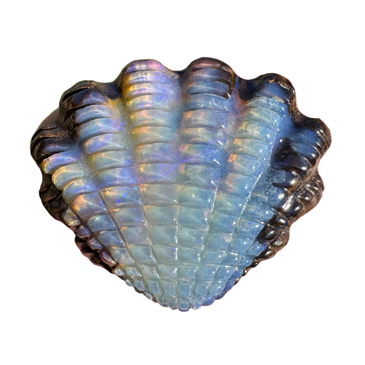23.41 Ct fan shell boulder opal carving