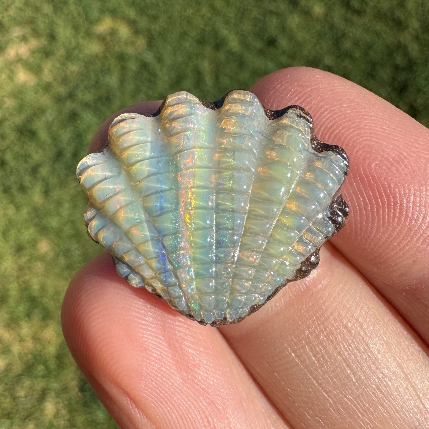 15.18 Ct fan shell boulder opal carving