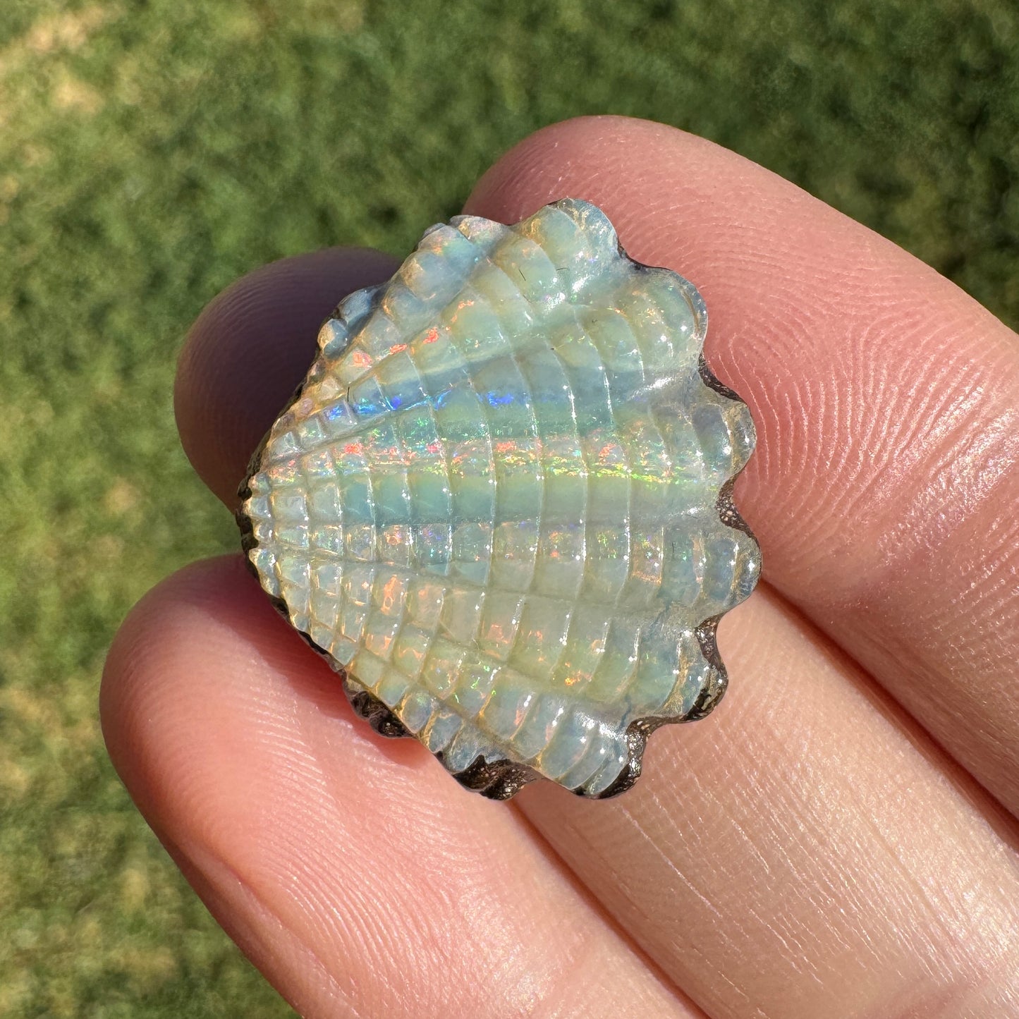 15.18 Ct fan shell boulder opal carving